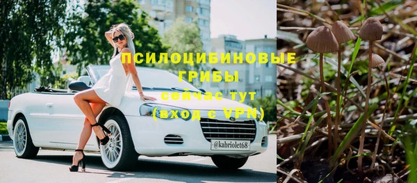 мет Абаза