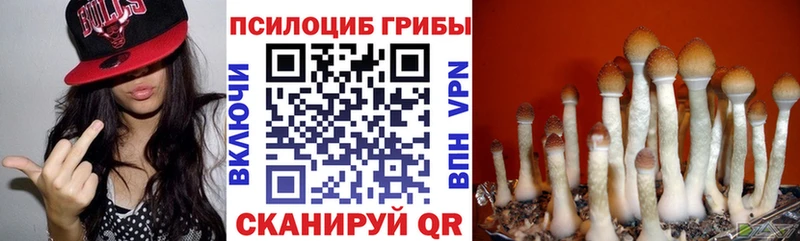 Псилоцибиновые грибы ЛСД  Владикавказ 